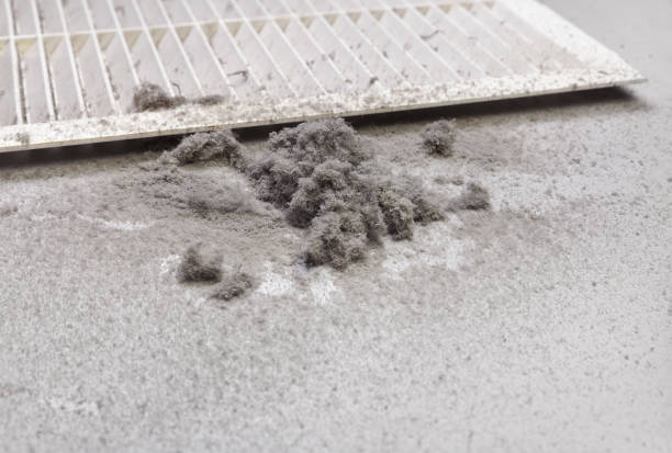 Best HVAC Duct Inspection Services  in Boonville, NC