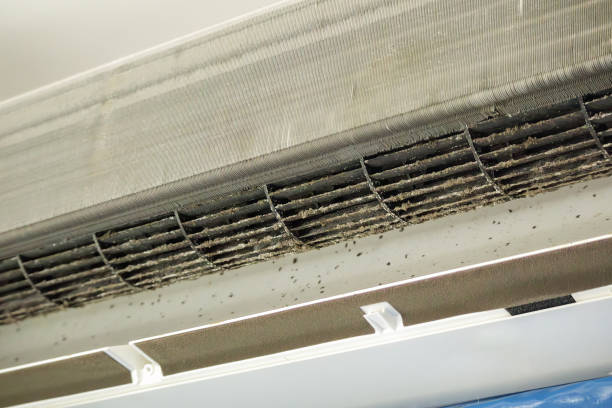 Best Best Air Duct Cleaning Company  in Boonville, NC